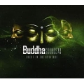 Buddha Sounds VI -Guest In the Universe